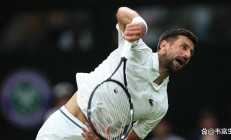 开云体育下载-包含美网逆转温网，德约科维奇高光表现的词条