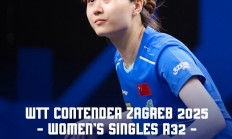 开云体育下载-中国乒乓球队绝地反击瑞典乒乓球队，奥恰洛夫绝境逆转的简单介绍