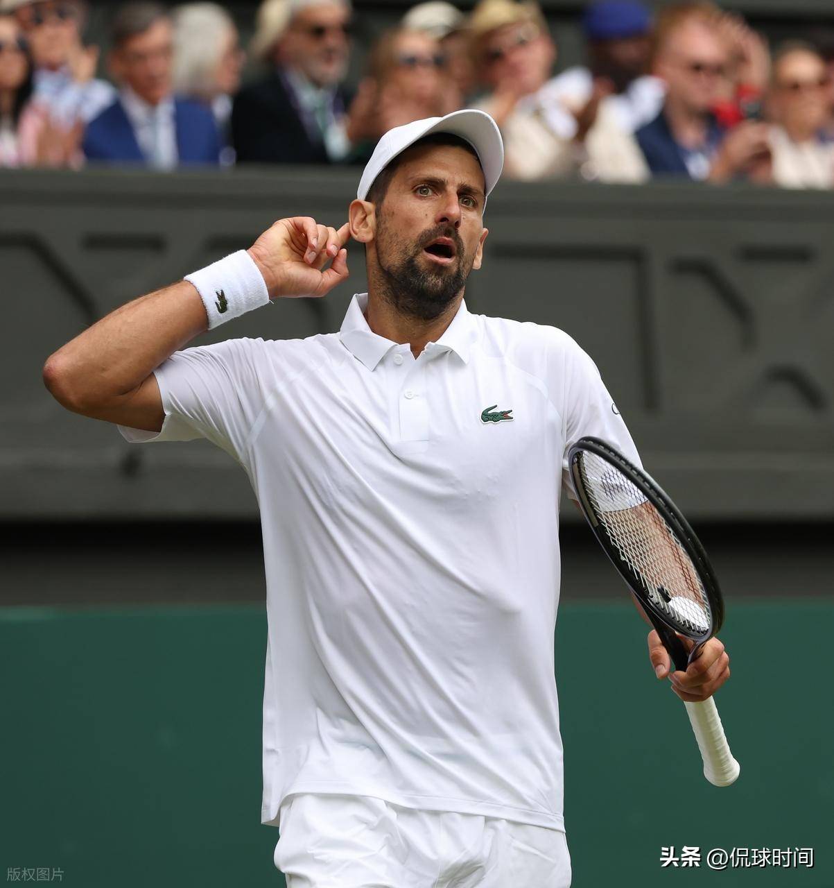 包含美网逆转温网，德约科维奇高光表现的词条