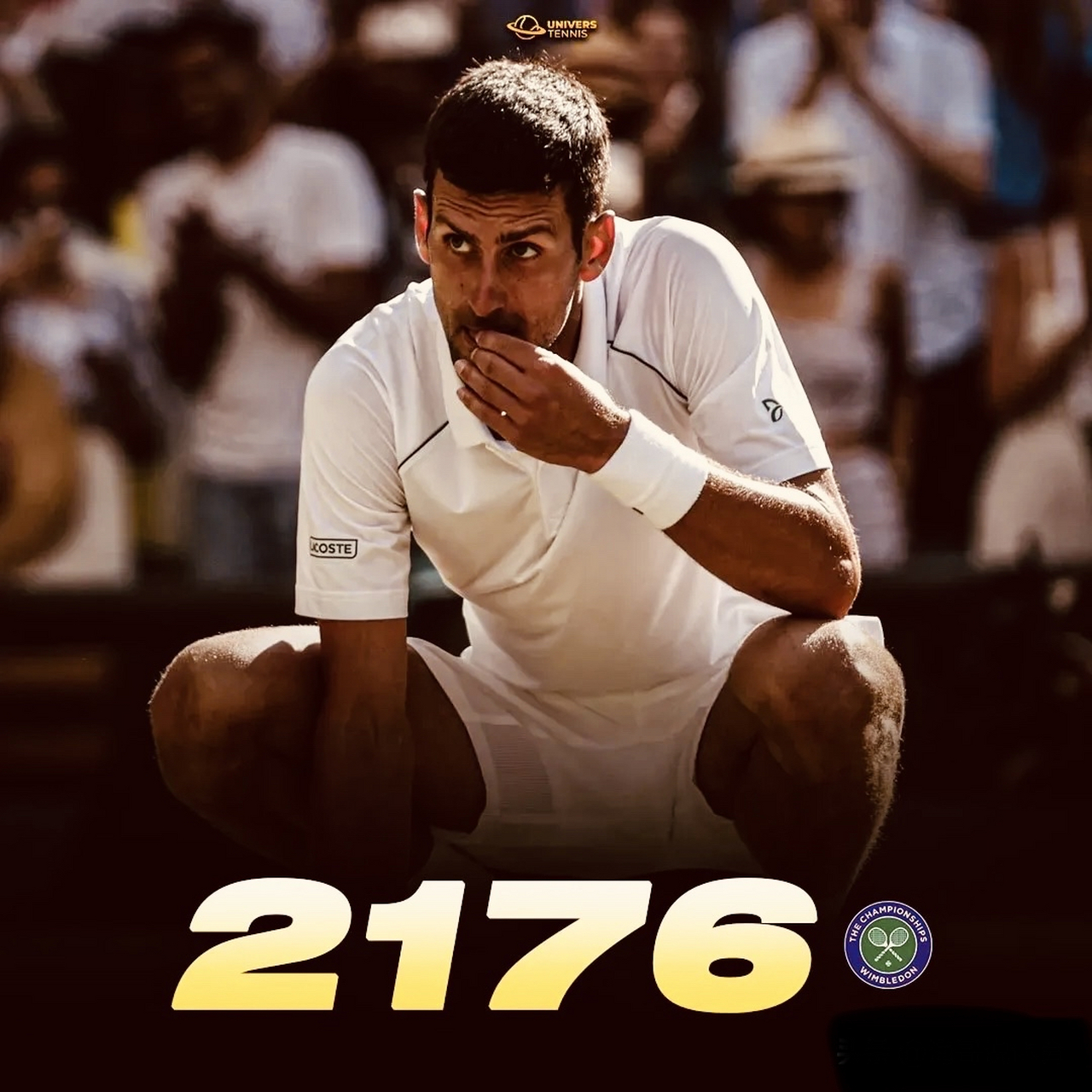 温网轻取法网，德约科维奇高光表现的简单介绍